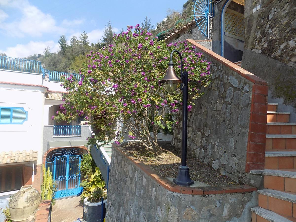 Maison De Fleurs Maiori Εξωτερικό φωτογραφία
